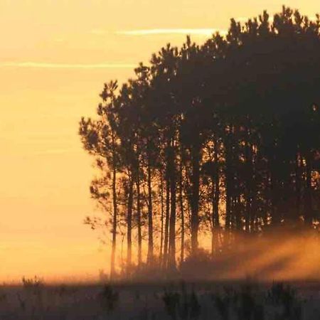 Chez Floflo Villa Rion-Des-Landes Dış mekan fotoğraf