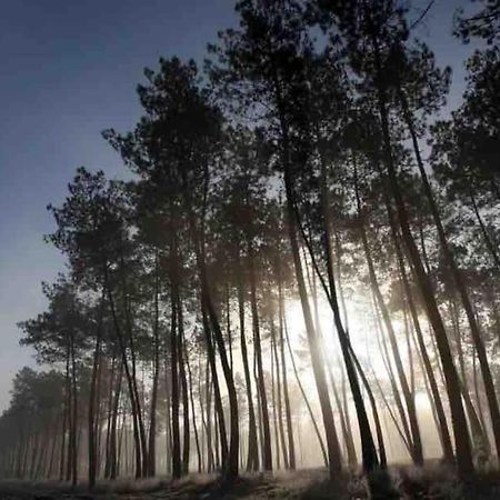 Chez Floflo Villa Rion-Des-Landes Dış mekan fotoğraf