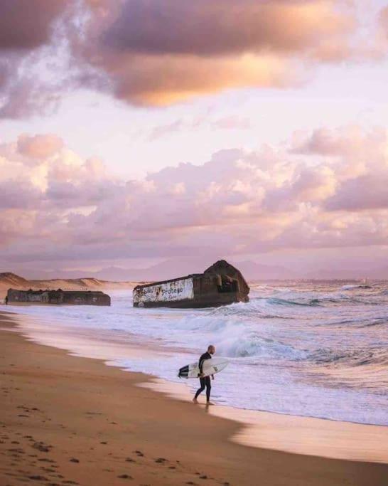 Chez Floflo Villa Rion-Des-Landes Dış mekan fotoğraf