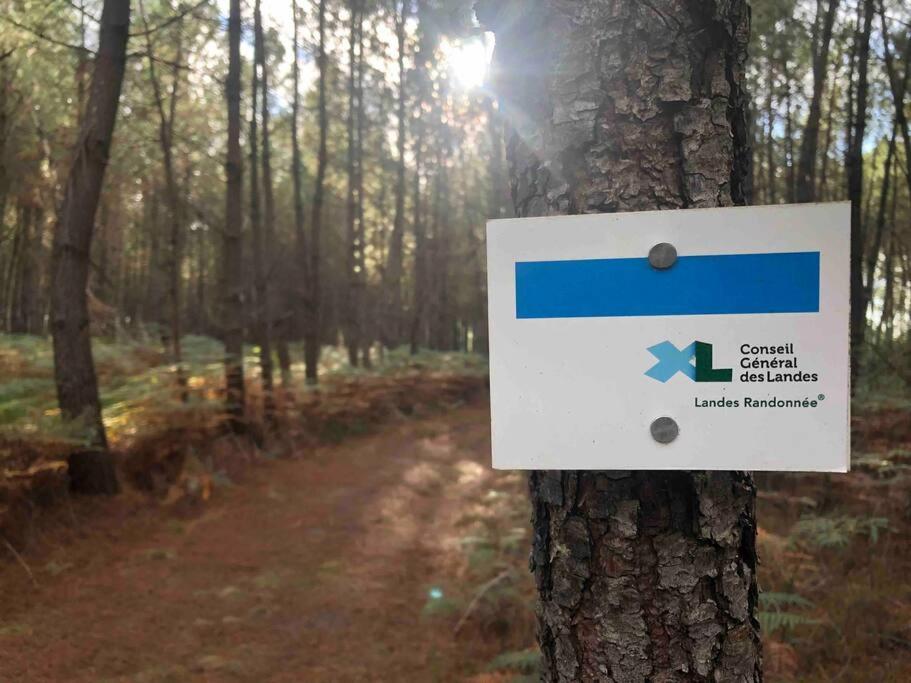 Chez Floflo Villa Rion-Des-Landes Dış mekan fotoğraf