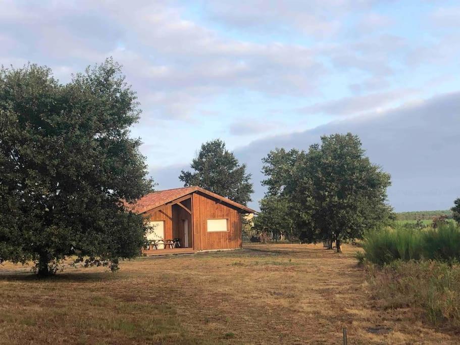 Chez Floflo Villa Rion-Des-Landes Dış mekan fotoğraf