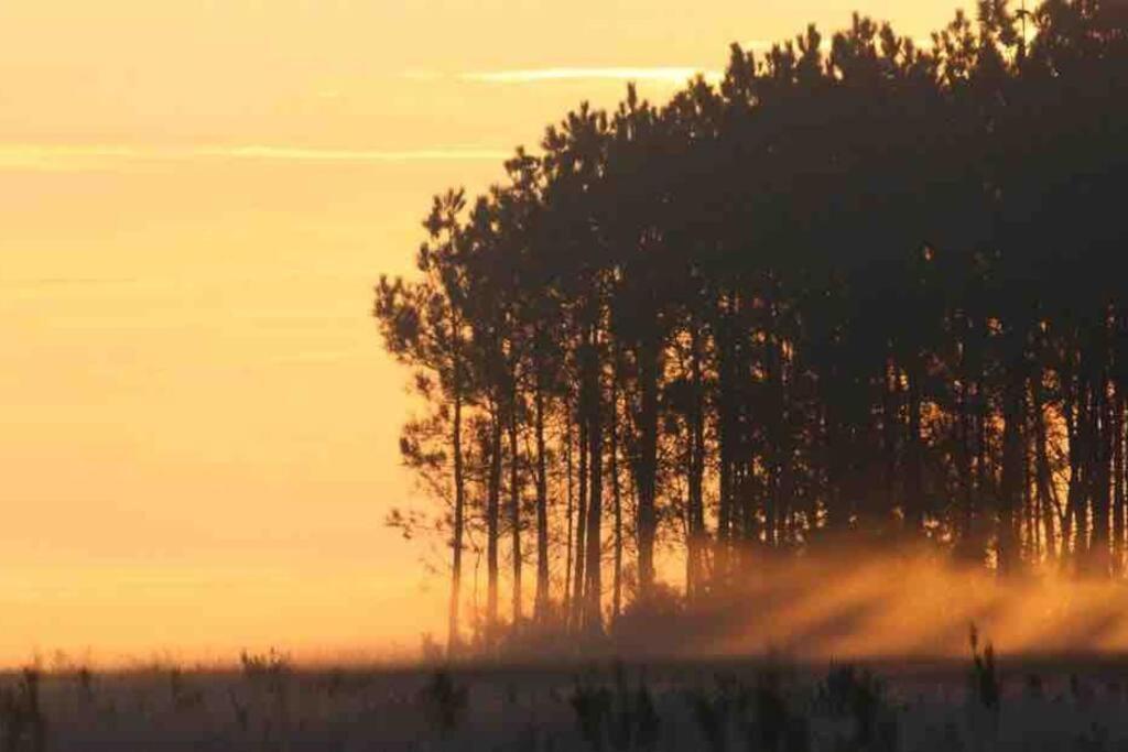 Chez Floflo Villa Rion-Des-Landes Dış mekan fotoğraf