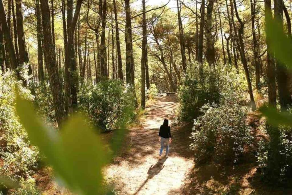 Chez Floflo Villa Rion-Des-Landes Dış mekan fotoğraf