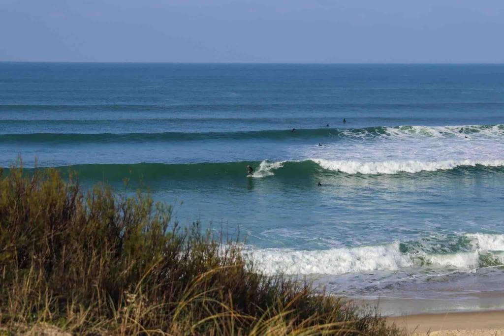 Chez Floflo Villa Rion-Des-Landes Dış mekan fotoğraf