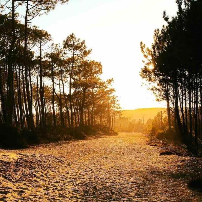 Chez Floflo Villa Rion-Des-Landes Dış mekan fotoğraf